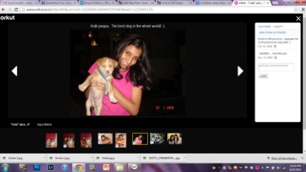 I had to get onto Orkut to get pictures of Simba. We had him in 2008.